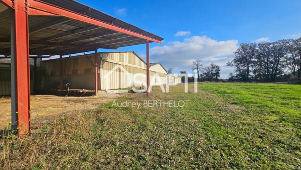 Propriété de 11 hectares proche de Sancerre