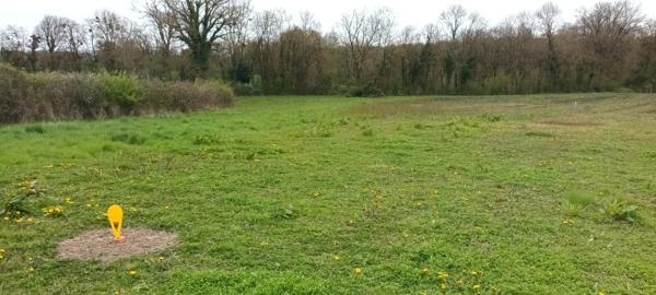 Vente / Terrain constructible