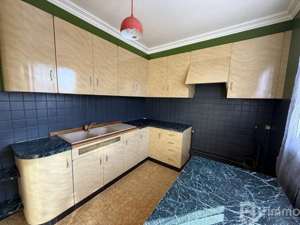 Au centre du Vert Galant