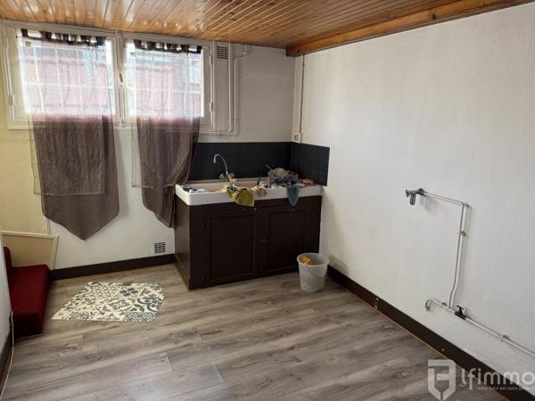 Au centre du Vert Galant