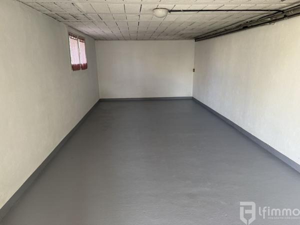 Au centre du Vert Galant