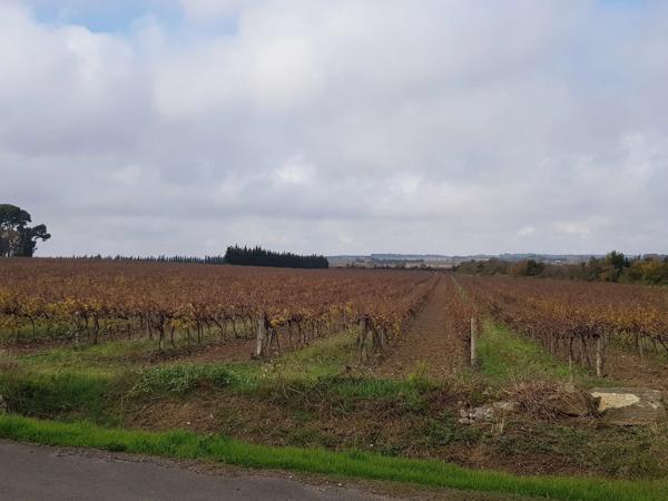 Location                                                      Maison
                        
                     4 pièces                      110 m2                     à Mèze
