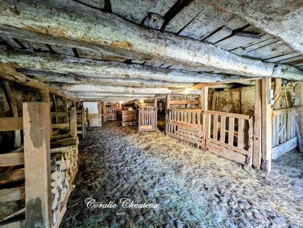 Jolie maison auvergnate avec grange et terrain