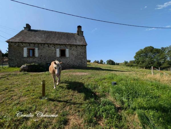Jolie maison auvergnate avec grange et terrain