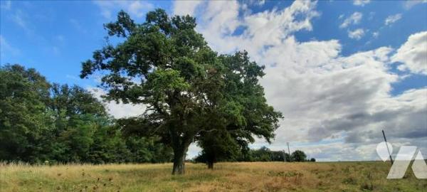 EXCLUSIF Propriété Agricole Nord Indre