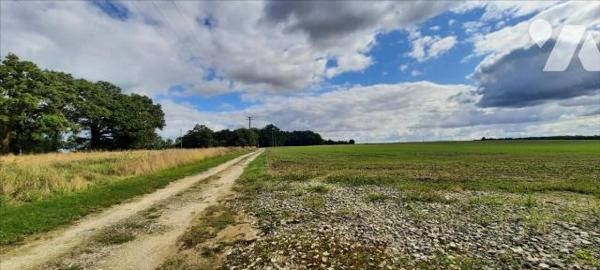EXCLUSIF Propriété Agricole Nord Indre