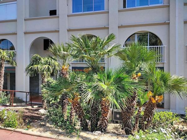 ST AYGULF (83370) T2 TERRASSE GARAGE ET MER A PIED