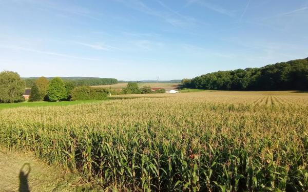 Terrain à vendre