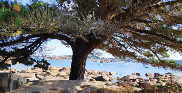 MANOIR d'exception entièrement rénové en 2021 dans les règles de l'art