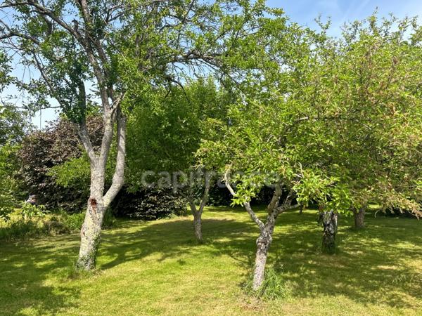 YVRE L'EVEQUE (72) côté Prémartine Maison sur sous sol 4 chambres et un bureau sur 6 800 m2
