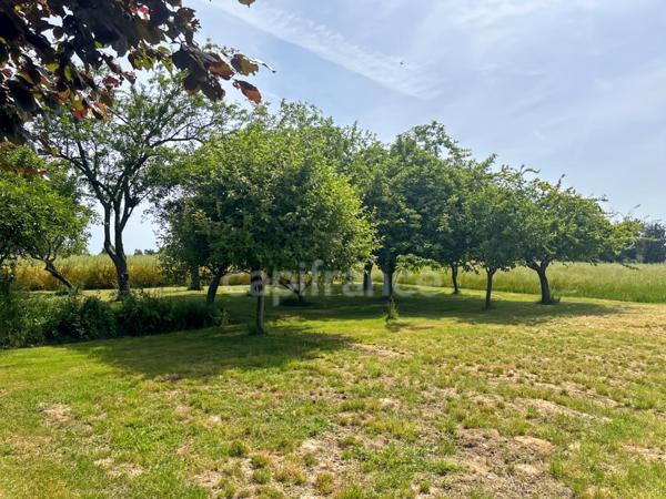 YVRE L'EVEQUE (72) côté Prémartine Maison sur sous sol 4 chambres et un bureau sur 6 800 m2