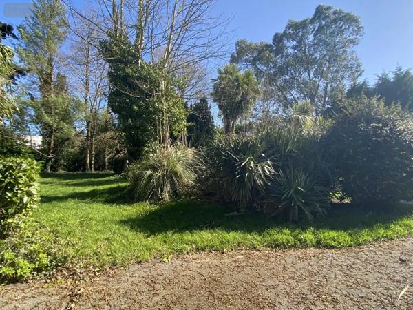 Location - Maison Loudéac 22600 5 pièces 184 m 2 2749 m 2