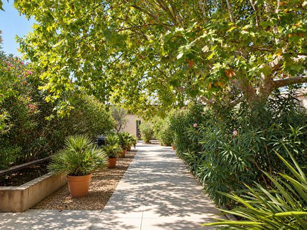 Domaine d'exception de 11hectares .Un futur resort équestre au coeur des Alpilles Saint andiol