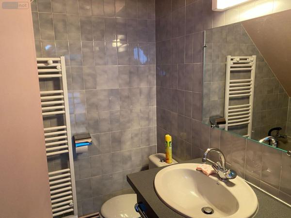 Appartement à vendre à Le Falgoux dans le Cantal (15380), ref : 15060/1030