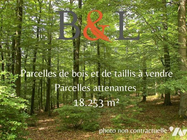 Terrain à vendre Saint-Julien-du-Sault