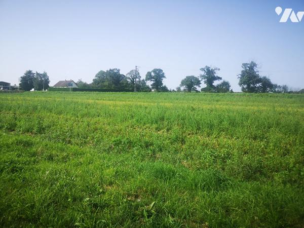 Terrain Zone Artisanale DUCEY LES CHERIS