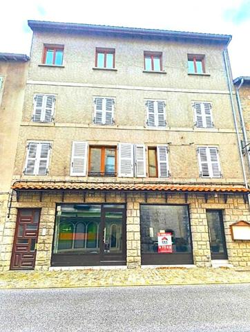 Immeubles de 344m² + dépendances. Idéal investissement locatif