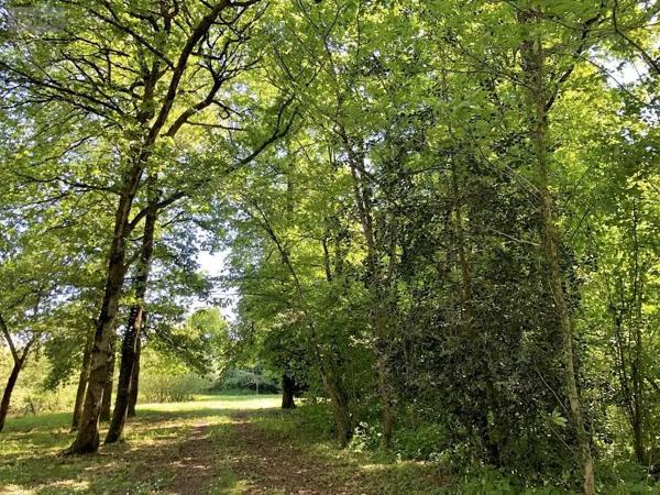 Achat - Terrain de loisirs, bois, étangs Parcé-sur-Sarthe 72300 10610 m 2