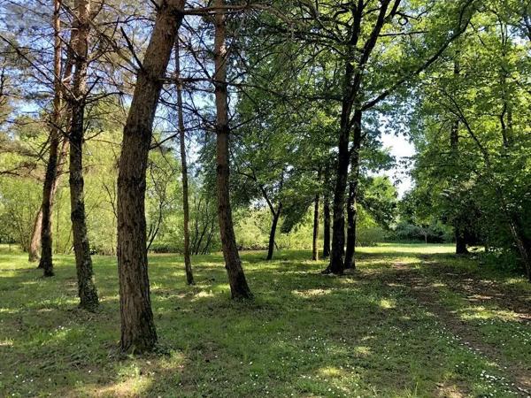 Achat - Terrain de loisirs, bois, étangs Parcé-sur-Sarthe 72300 10610 m 2