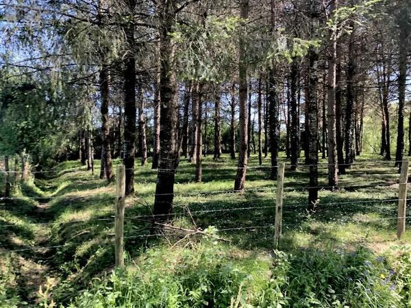 Achat - Terrain de loisirs, bois, étangs Parcé-sur-Sarthe 72300 10610 m 2
