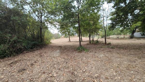 Terrain à vendre de 3 620,00 m² LE HOUGA (32)