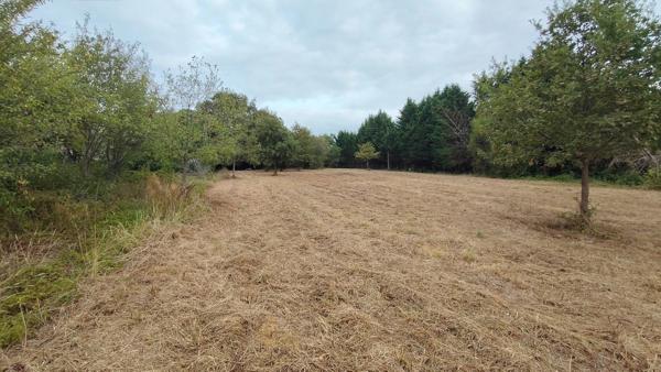 Terrain à vendre de 3 620,00 m² LE HOUGA (32)
