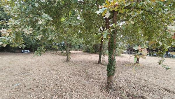 Terrain à vendre de 3 620,00 m² LE HOUGA (32)