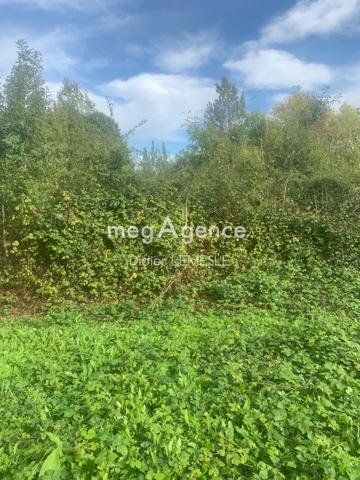 Terrain à LOIRE-AUTHION, 49800 -