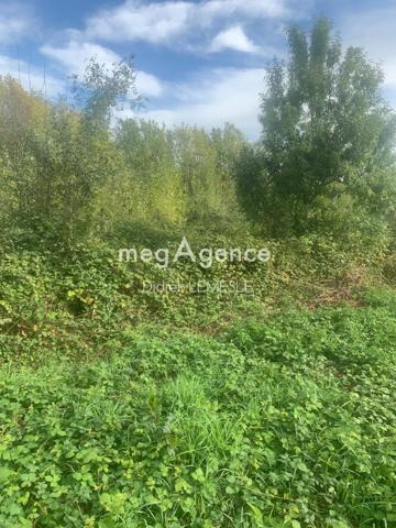 Terrain à LOIRE-AUTHION, 49800 -