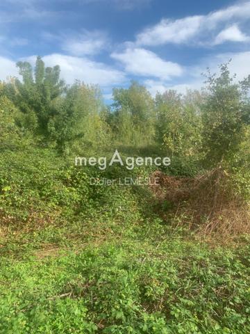 Terrain à LOIRE-AUTHION, 49800 -