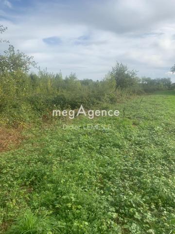 Terrain à LOIRE-AUTHION, 49800 -