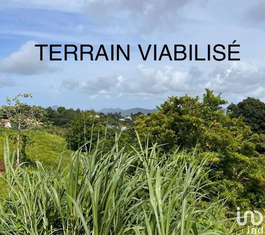 Terrain à vendre 500 m² Rivière-Pilote