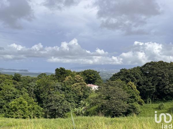 Terrain à vendre 500 m² Rivière-Pilote