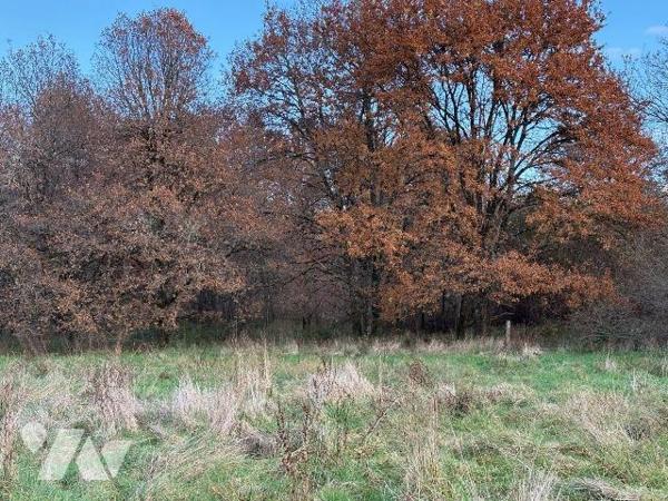 Nichée au c?ur de la Sologne, à Salbris, cette propriété vous invite à découvrir un lieu où la ...