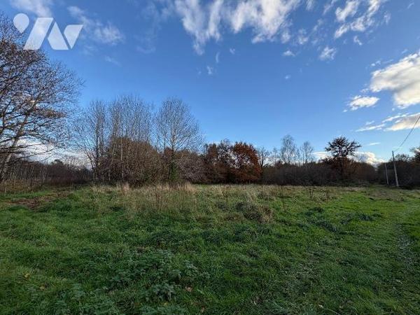 Nichée au c?ur de la Sologne, à Salbris, cette propriété vous invite à découvrir un lieu où la ...