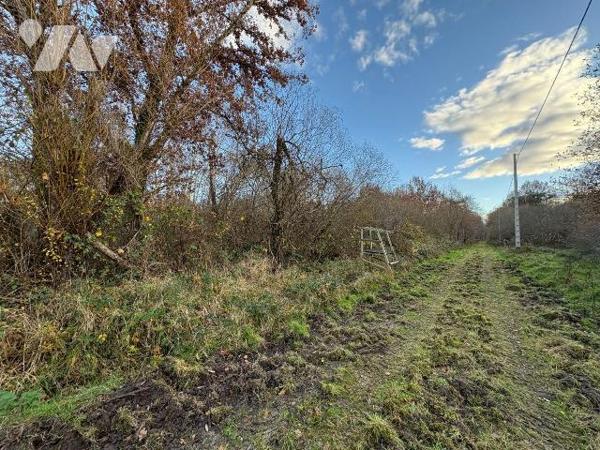 Nichée au c?ur de la Sologne, à Salbris, cette propriété vous invite à découvrir un lieu où la ...