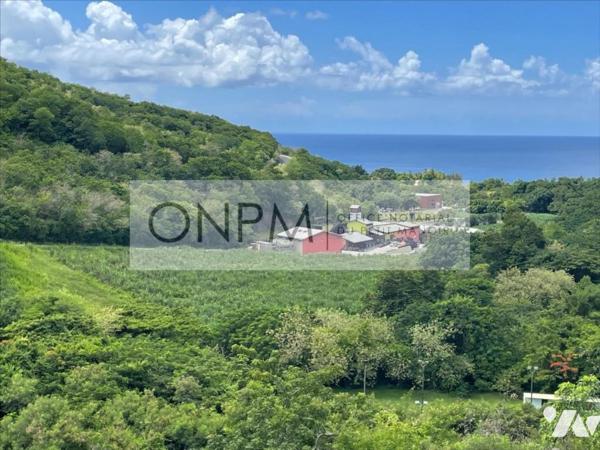 Appartement T3 le CARBET