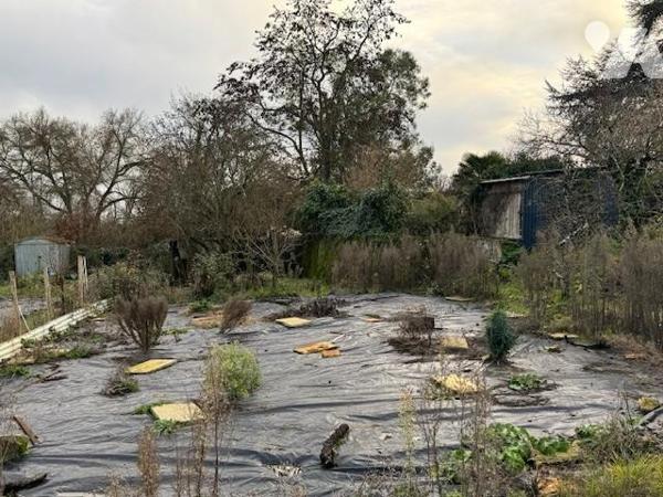 MAISON ANCIENNE A RESTAURER 