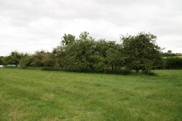 Vente Garage à La Grée-Saint-Laurent