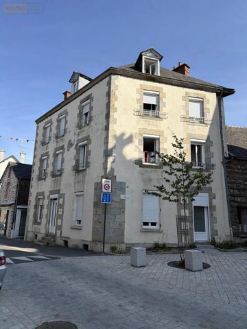 Achat - Immeuble Val d'Anast 35330 14 pièces 176 m 2 155 m 2