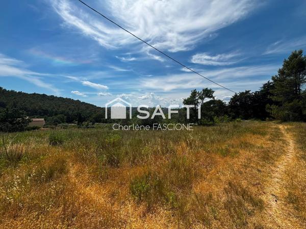 Terrain agricole 8 195 m² proche Flayosc