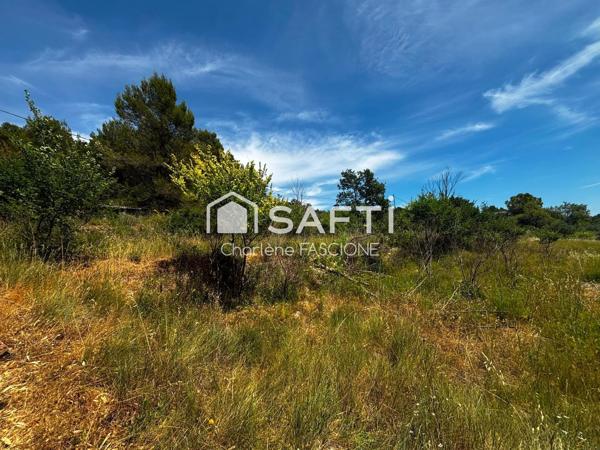 Terrain agricole 8 195 m² proche Flayosc
