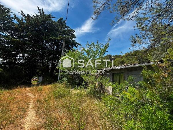 Terrain agricole 8 195 m² proche Flayosc