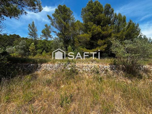 Terrain agricole 8 195 m² proche Flayosc