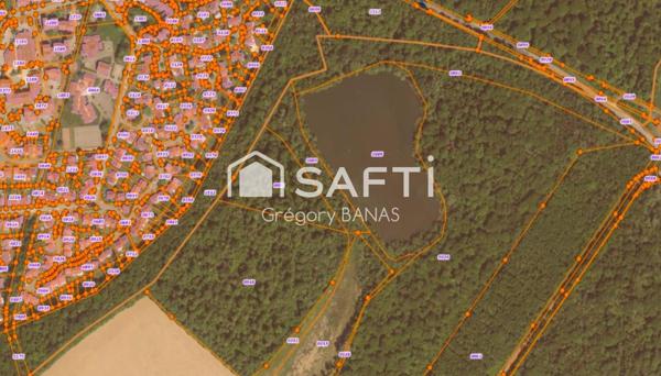 Propriété forestière avec étang – 30,63 ha – Aux portes de Metz