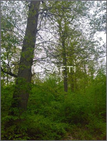 Propriété forestière avec étang – 30,63 ha – Aux portes de Metz