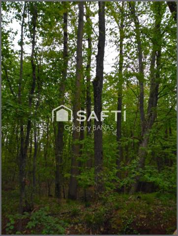 Propriété forestière avec étang – 30,63 ha – Aux portes de Metz