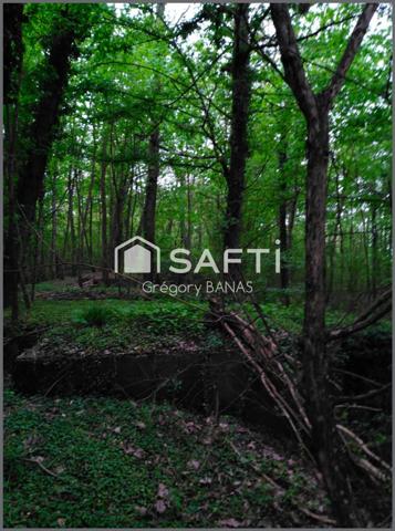 Propriété forestière avec étang – 30,63 ha – Aux portes de Metz