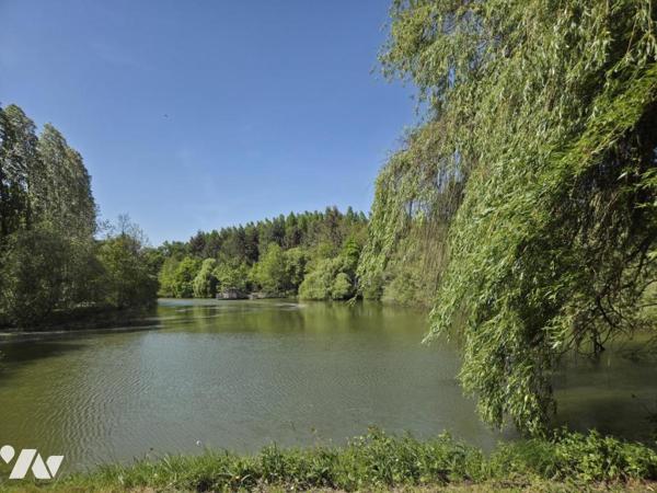 Terrain de loisirs avec plan d'eau d'environ un hectare, en partie arboré.