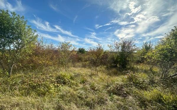 Terrain à vendre |  Fouleix |  54415 m²